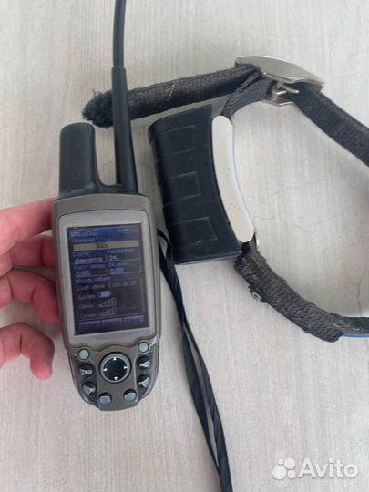 Навигатор garmin astro 220+ошейникdc30
