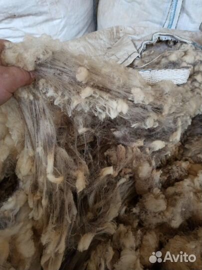 Шерсть мериноса
