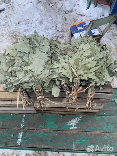 Веники дубовые