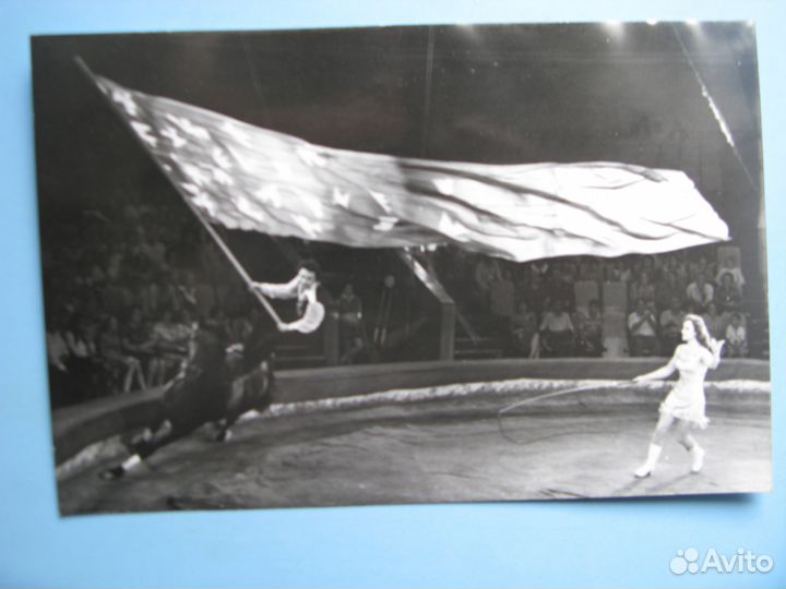 Фотографии цирк