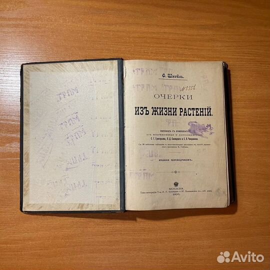 Антикварные книги: Очерки из жизни растений