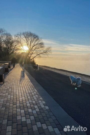 Ясновидящий, работа по фото,работа с энергией