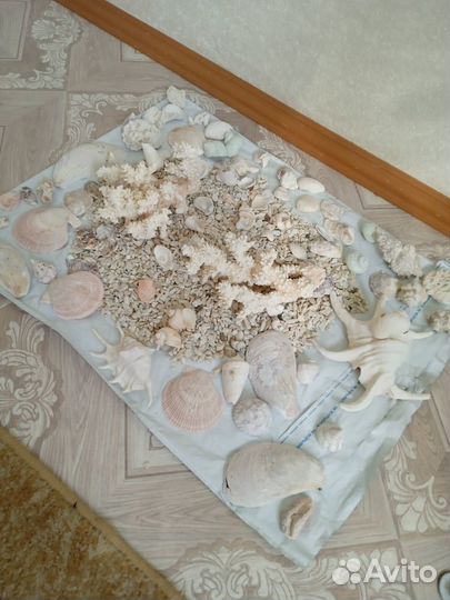 Набор для аквариума