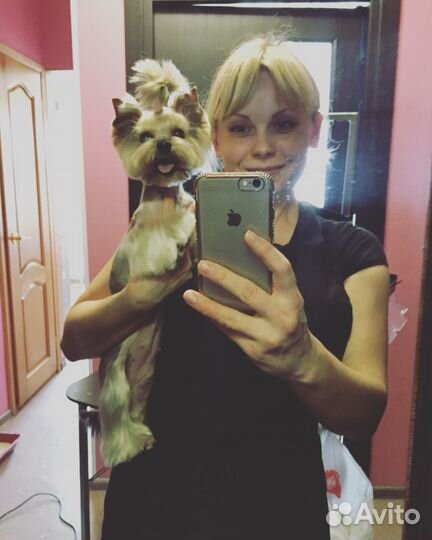 Стрижка собак и кошек, ультразвук чистка зубов