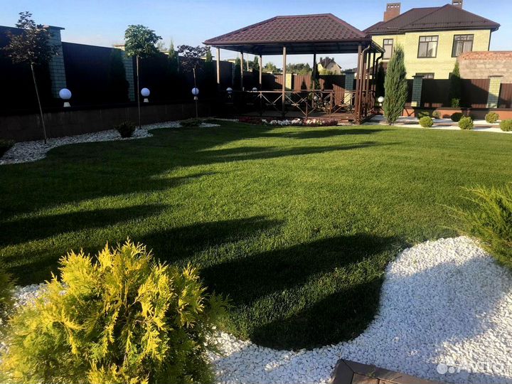 Газон. Озеленение