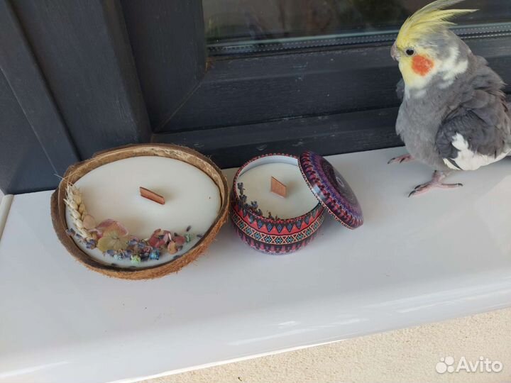 Свеча в кокосе