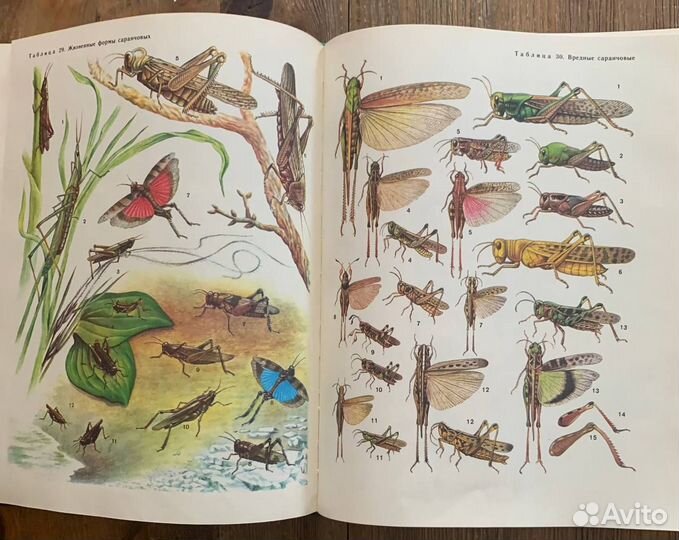 Жизнь животных в 7-ми томах