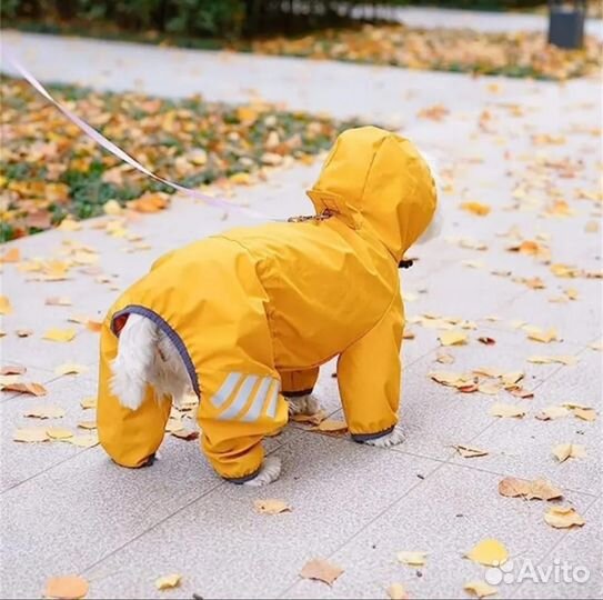 Дождевик для маленьких собак
