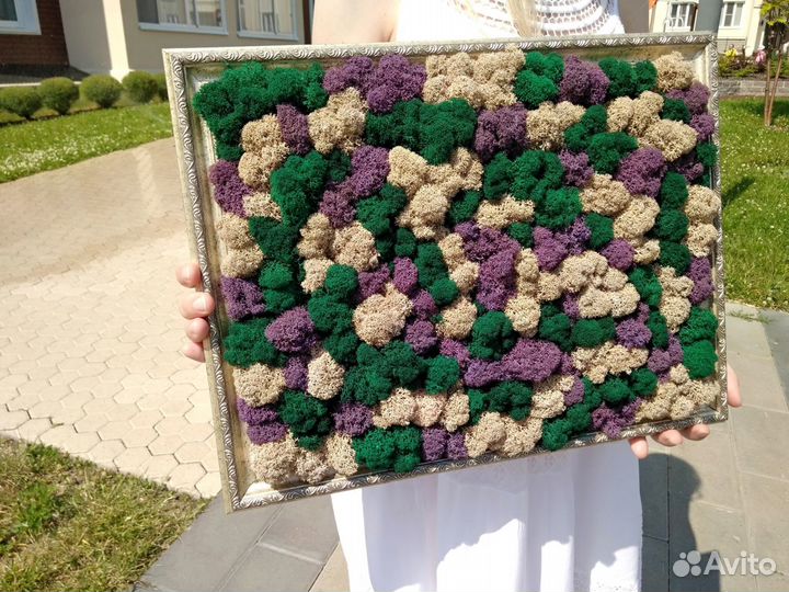 Картины панно стены из стабилизированного мха