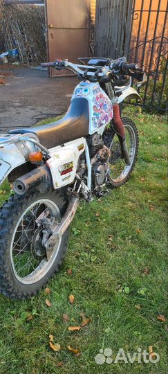 Honda Baja XLR 250