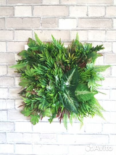 Фитокартина