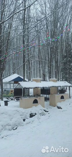 Продается база отдыха
