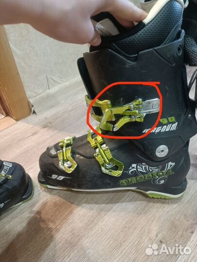 Горные лыжи