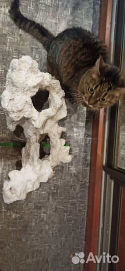 Декор Камень Грот кораллы для аквариума