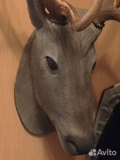 Продам оленя Морала с натуральными рогами)