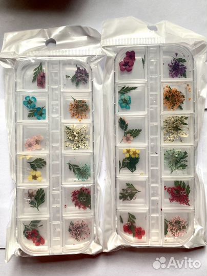 Сухоцветы для творчества