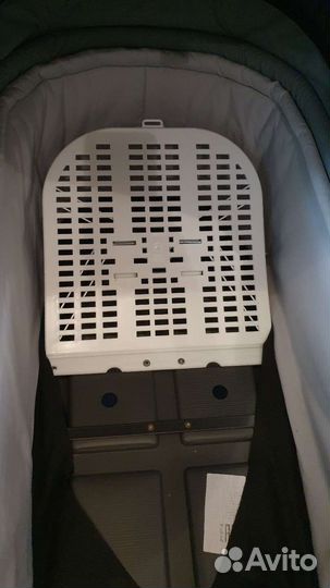 Коляска 2 в 1 roan bloom