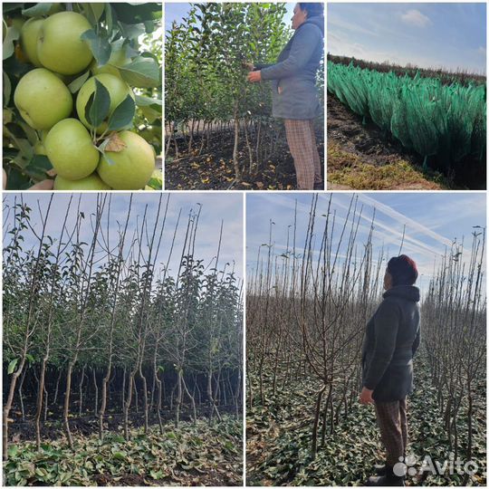 Подсобный рабочий с проживанием