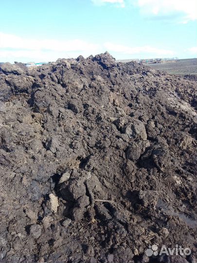 Навоз перегной