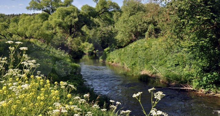 Участок 30 сот. (ИЖС)