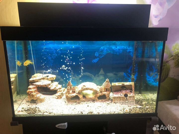 Аквариум с тумбой 230 литров