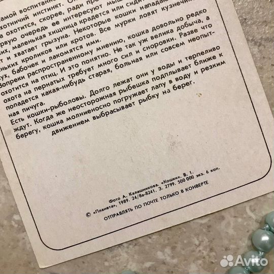 Открытка Кошка выходит на охоту Планета 1989 год