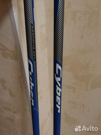 Лыжи беговые Fischer ls skate