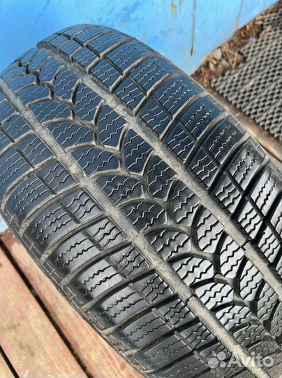 Tigar Winter 1 195/50 R15