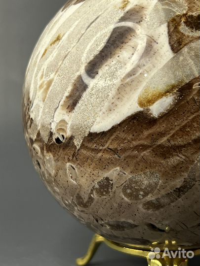 Шар окаменелое дерево 104 мм