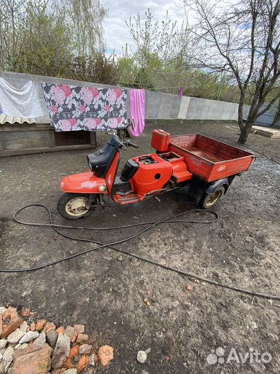 Муравей тмз-5