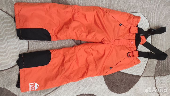 Зимние детские/демисезонные горнолыжные штаны