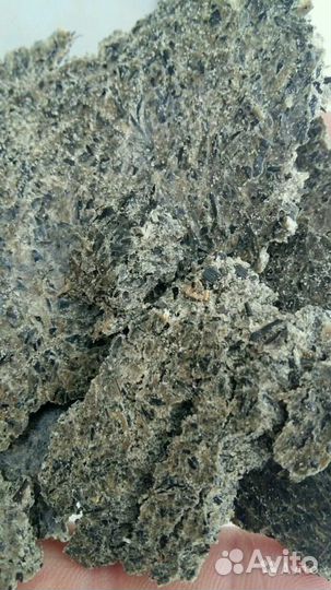 Жмых подсолнечный (опт)