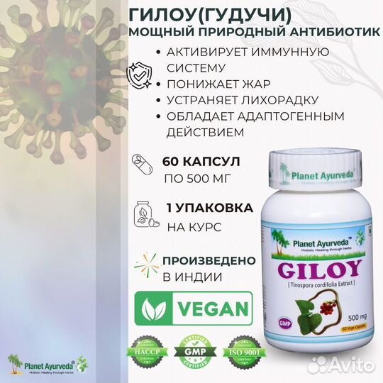 Гилоу guduchi