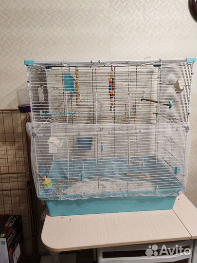 Клетка для попугая бу