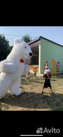 Белый мишка поздравление