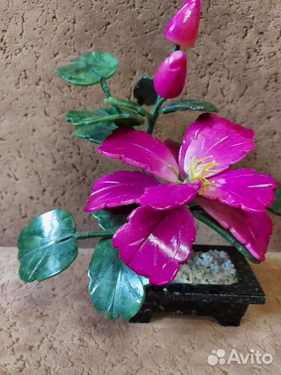 Цветок фэн шуй