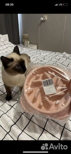 Миска для медленного поедания корма