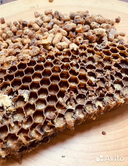 Пчелиная Перга