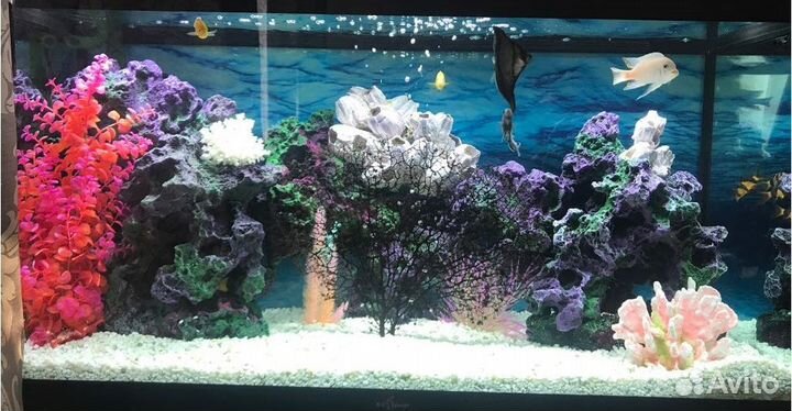 Обслуживание Аквариума Чистка