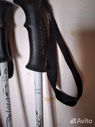 Горные лыжи