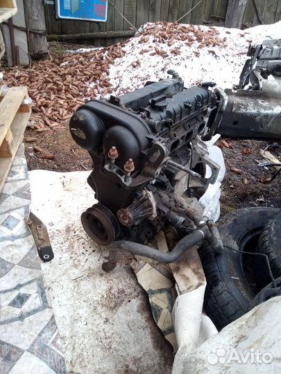 Двигатель форд фокус2 1.6 115лс hxdb