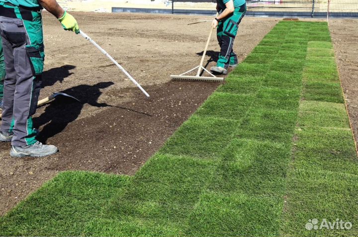 Укладка рулонного газона под ключ