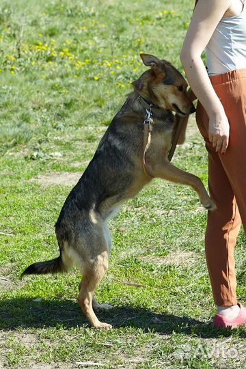 Молоденькая Джуди ищет свою семью, 2г