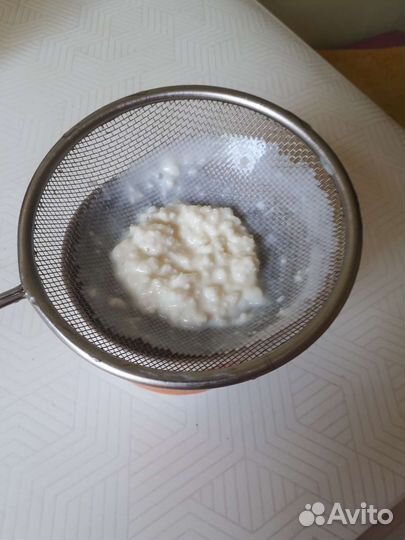 Тибетский молочный гриб(для кефирной закваски)