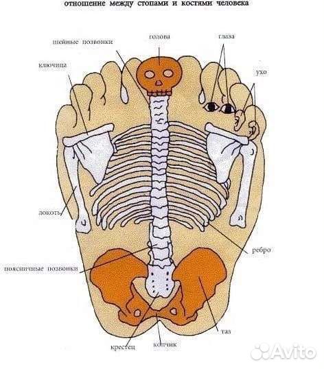 Рефлексомассаж стоп