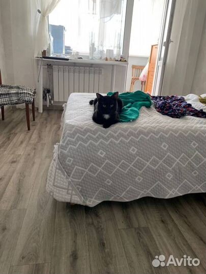 Очень нужен дом тихому Степану