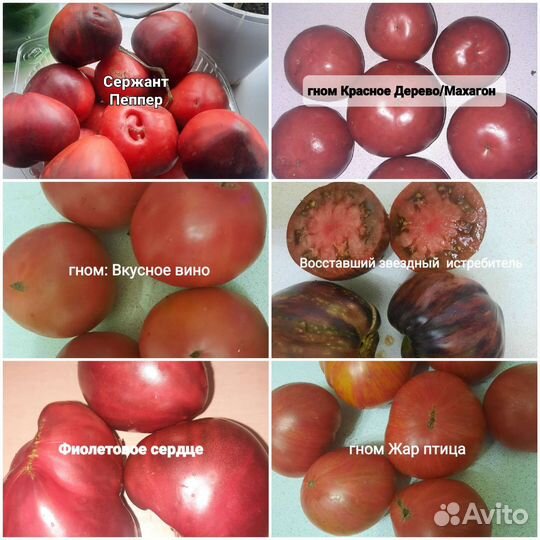 Семена сортовых помидор