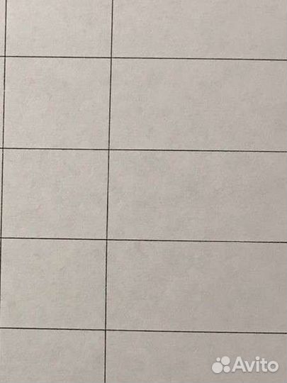 Якутская лайка