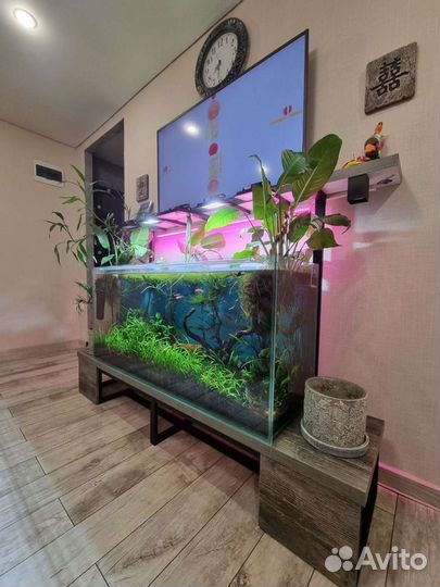 Аквариум