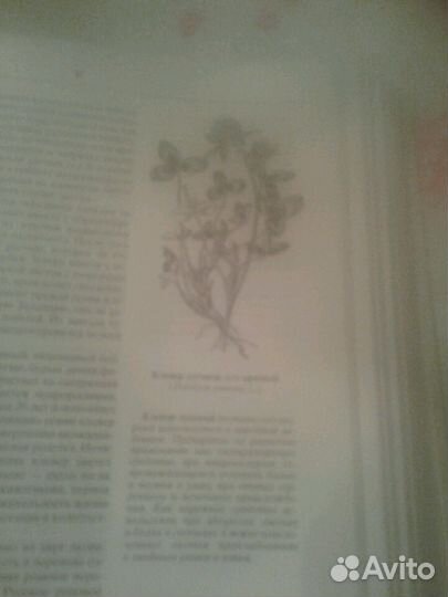 Брем. Жизнь растений